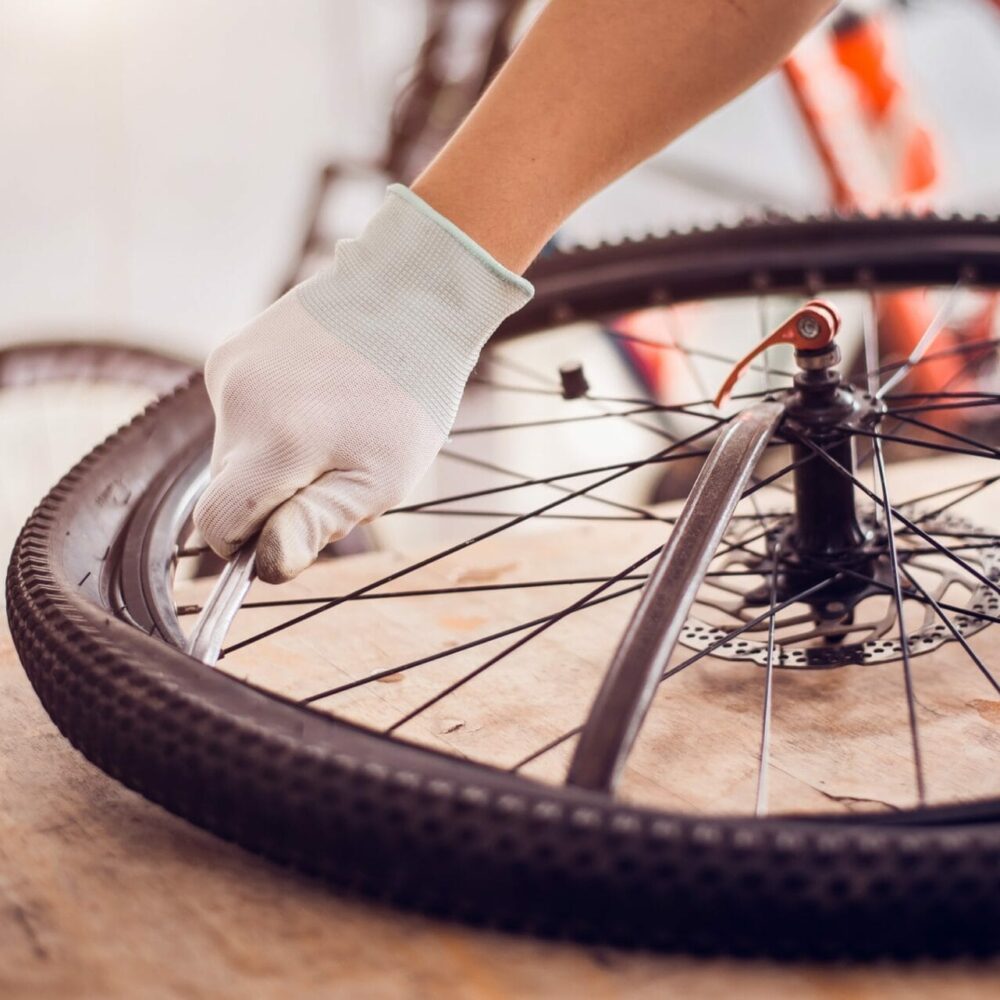 144615101_m_normal_none